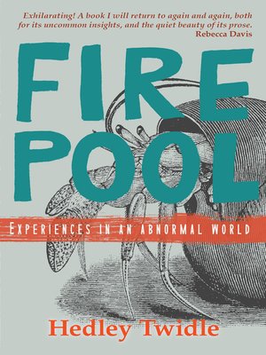 cover image of Firepool